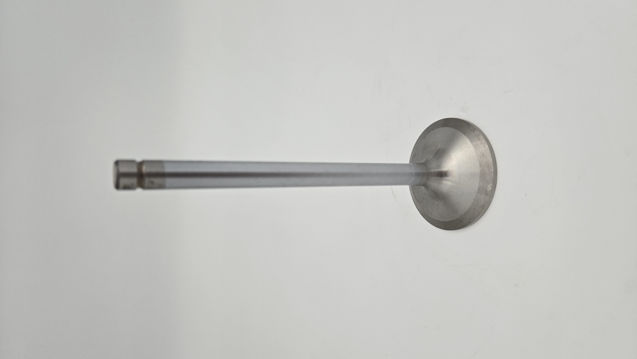 Liebherr 06ef2323-2557-408d-a552-1450c13ea9804324133956540349526-jpg